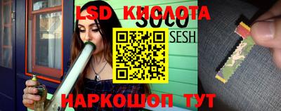 спайс Кингисепп