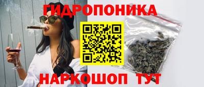 спайс Кингисепп