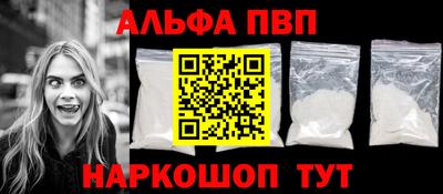 спайс Кингисепп