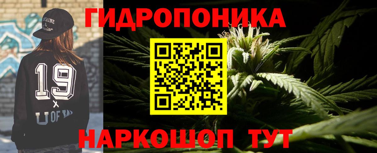 Шишки марихуана Amnesia  Канабис планчик  Вход с VPN  Шишки марихуана AK-47  Красноярск 
